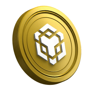 Token de cryptomonnaie Binance BNB affiché sur la page du guide destiné aux nouveaux investisseurs